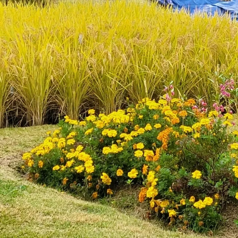 유유미미 유튜브 채널 프로필